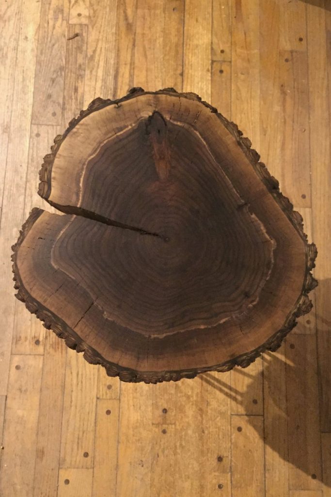 Black Walnut Stump Round Coffee Table Woodify USA