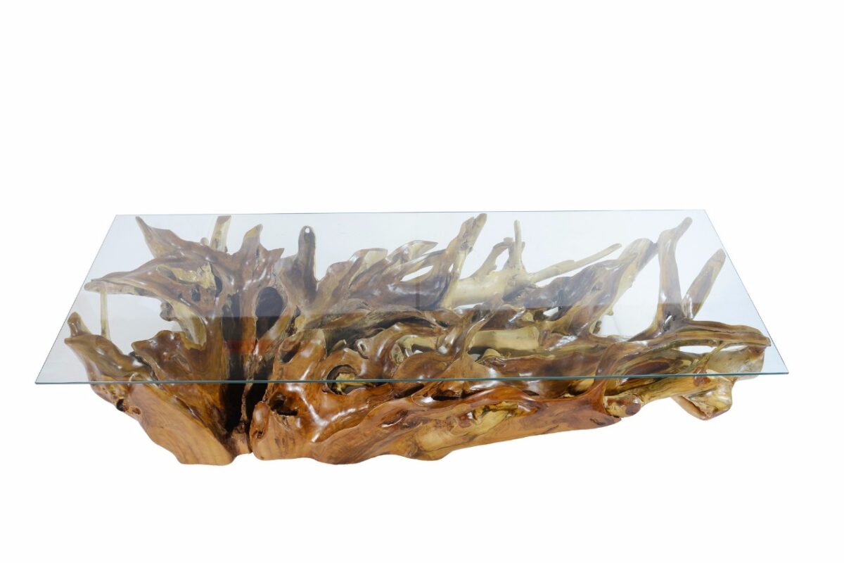 Teak Root Coffee Table Glass Tops Woodify USA
